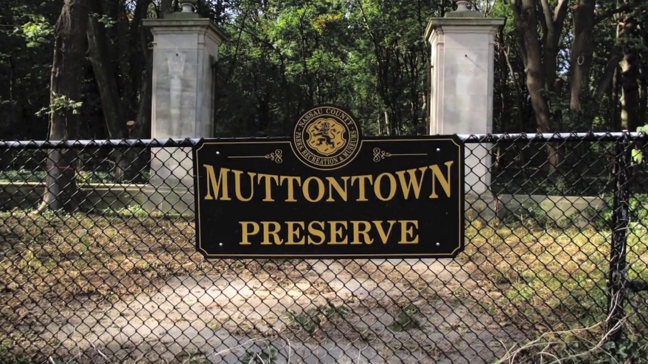 Muttontown Preserve Ruins Documentary YouTube