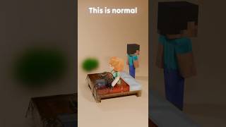 Minecraft 3D Cloth Simulationsteve Fart 2