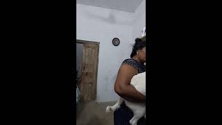 Lifestyle Vlog