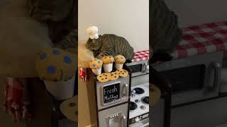 All Her Creations Follow Her Peachie.c On Tiktok And Insta
