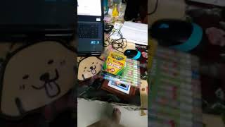 Doggies Goanimate And Flash Player Shutdown Experience