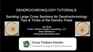 Sanding Large Cross Sections for Dendrochronology: Tips & Tricks of the Dendro Trade (w/ Microscopy)