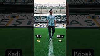 NYEL9IGjWd8 Video Image