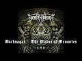 Borknagar - The Plains of Memories
