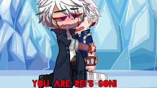 YOU ARE REI’S SON [Todoroki Angst] (MHA BNHA)