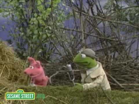 Sesame Street: Kermit News On Three Pigs