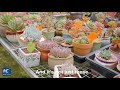 How to make a beautiful village