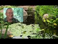 pond