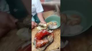 Guling Adalah Nyawa....crot