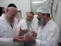 Rare footage visit to kosher slaughterhouse
