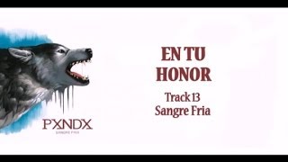 Watch Panda En Tu Honor video