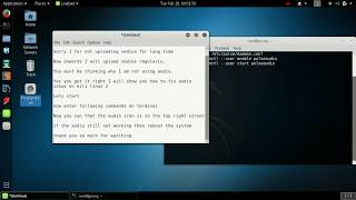 How to Kali Linux audio not working