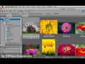 Adobe Bridge CS5: All you need to know - Part 1