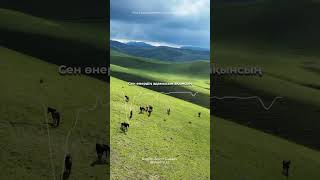 Үздік Қазақша Кавер Kazakh Cover Music Beautiful