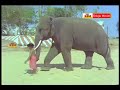 Punnami Naagu Telugu Full Length Movie Chiranjeevi Narasimha Raju Rati Punnami Naagu Telugu Full Length Movie Chiranjeevi Narasimha Raju Rati