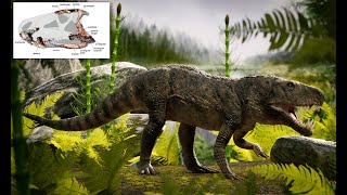 True Archosaurs And Early Pseudosuchians
