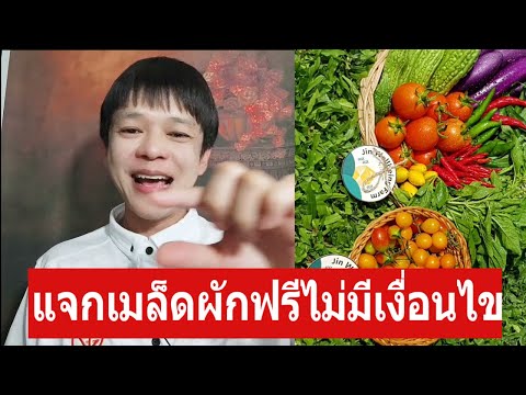 แจกเมล็ดผักฟรีเฉพาะช่วงนี้ครับโดยไม่มีเงื่อนไข