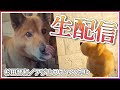アジルス/スーパー生絞り 2020年4月26日【杉田智和/AGRSチャンネル】
