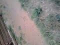 Ngentot Di Hutan images Ngentot Di Hutan