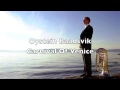 Oystein Baadsvik Carnival Of Venice with Orchestra