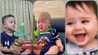 Cute Babies Vs Cactus Talking