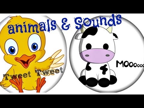 Canzone INGLESE - Animali & loro versi, Animals - per bambini