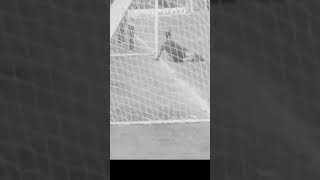 Na5_sOGBagw Video Image