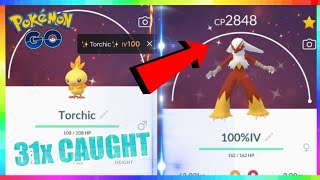 100IV SHINY TORCHIC CAUGHT + SHINY BLAZIKEN EVOLUTION! Community Day Event Pokemon Go!