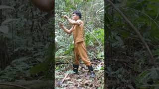 Make A Trap For Catching The Jungle Civet