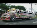 buses panama