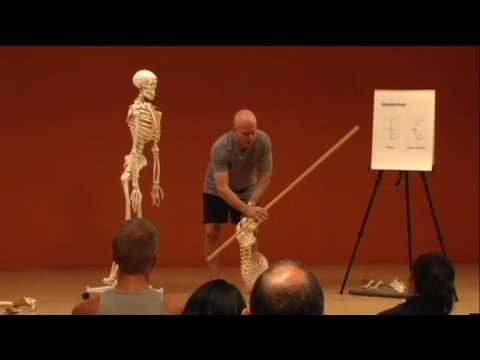 Supported Shoulder Stand. Functional Analysis of Shoulder Stand with Paul Grilley. Functional Analysis of Shoulder Stand with Paul Grilley. 1:17. Building on the concepts presented