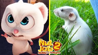 The Nut Job 2 Characters In Real Life All Characters 2017