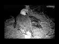Decorah Eagles Cause for Alarm 9:38pm CDT 5-1-12