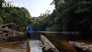 Taman Negara En Malaisie Avec Rouka Travel