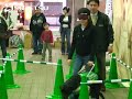 盲導犬ふれあいウォーク&贈呈式を実施