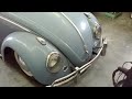 beetle