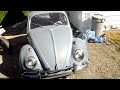 beetle