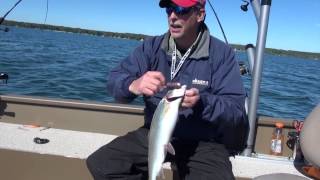 Trolling Lead Core for Mullet Lake Rainbow Trout