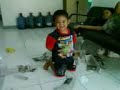 Faulcoy Keluarganya Lagi Main images Faulcoy Keluarganya Lagi Main