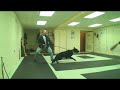 dog training