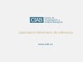 Extensiones: buen manejo y función    CIAB   www.ciab.es