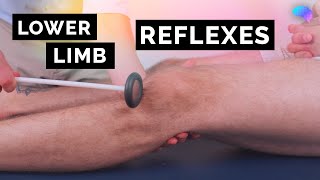 Reflexes Of The Lower Limbs Osce Clip Ukmla Cpsa Plab 2