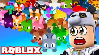 I Played Pet Simulator 99 For The First Time - Roblox