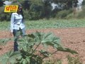 Rajasthani Song - Maine Bapo Sa Parnai De | Marwadi Song | Latest Rajasthani Songs 2014