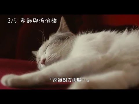 老師與流浪貓 - 短版預告