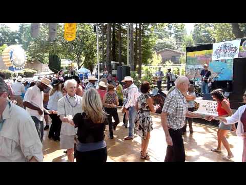 Zydeco Flames @ Sebastopol Cajun/Zydeco Festival - 2011 #2