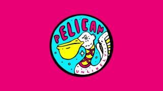 Watch Far From Alaska Pelican video