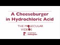 Cheeseburger in Hydrochloric Acid - Periodic Table of Videos