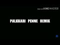 PALKKARI  PENNE REMIX .DJ.    in MALAYALAM