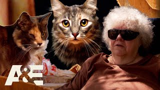 Hoarders Over 75 Cats Take Over Shirleys Home A&E
